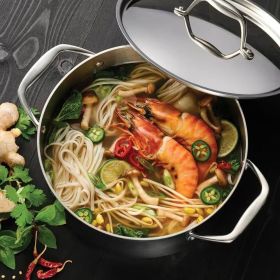 Stainless Steel Tri-Ply Clad 5-Quart Dutch Oven with Lid